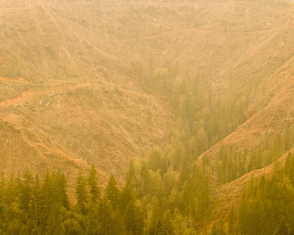 Oregon wildfire smoke photography