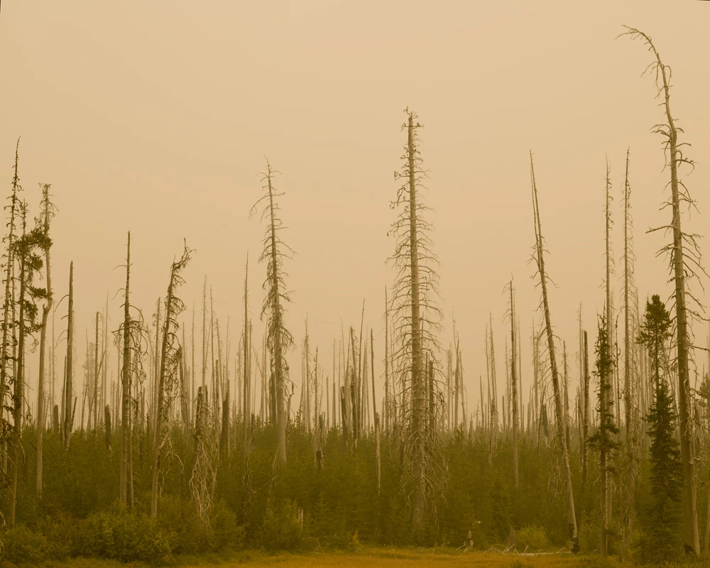 Oregon wildfire smoke photography