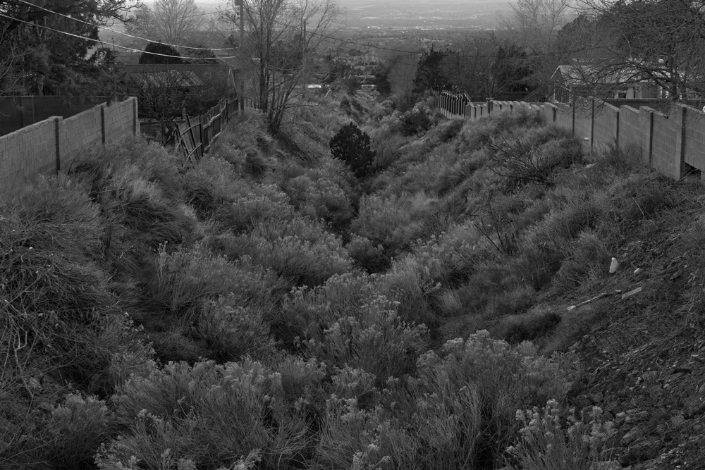 Albuquerque arroyo photograph